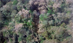 Máy bay Indonesia bị 'phá hủy hoàn toàn', toàn bộ thi thể được tìm thấy