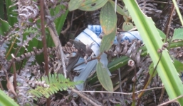 Nghệ An: Làng kim tiêm dặn con nghiện chích thuốc một chỗ để dễ dọn