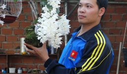 Từ làm thuê thành ông chủ vườn lan thu tỷ đồng/năm