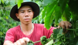 Làm giàu từ mảnh đất khô cằn thu 1 tỷ đồng/năm