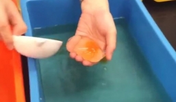 Lại xôn xao clip làm trứng gà giả gây ngạc nhiên