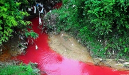 Điện Biên: Dòng suối bất ngờ chuyển sang màu đỏ như máu