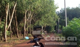 Bản tin 113 – ngày 21/8: Một phụ nữ chết bất thường trên đường đi cạo mủ cao su…