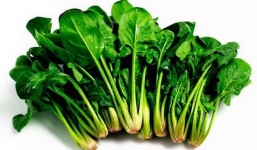 5 lợi ích bất ngờ của rau chân vịt