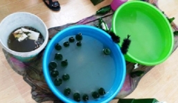 TP.HCM: Triệt phá đường dây sản xuất bia giả quy mô lớn