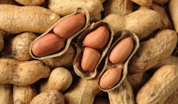 Những đối tượng tuyệt đối không nên ăn lạc