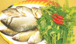 Cá diếc và những bài thuốc tuyệt vời cho sức khỏe