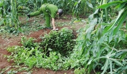 Té xuống giếng sâu hơn 30m, người phụ nữ gào thét kêu cứu suốt một đêm