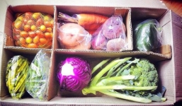 Bà nội trợ phát sốt 'săn' rau dền 80.000 đồng/kg