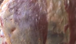 Video: Cận cảnh miếng thịt bò biết 'nhảy múa' giữa chợ