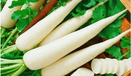 Công dụng tuyệt vời của củ cải trắng