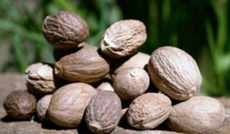 Những thực phẩm nguy hiểm tiềm ẩn trong bếp các gia đình