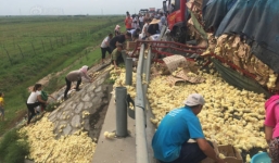 Video: Náo loạn cảnh người dân Trung Quốc hôi gà từ xe tải lật