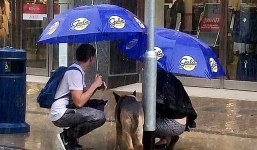 Cặp đôi ướt sũng vì thương xót chú chó lạ bị buộc giữa trời mưa