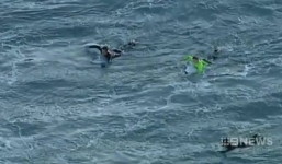 Du khách 'chiến đấu' với cá mập để thoát thân