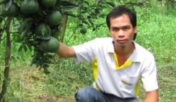 Trồng cam sành, cử nhân thành đại gia thu 1 tỷ/năm