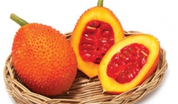 Công dụng chữa bệnh bất ngờ từ quả gấc