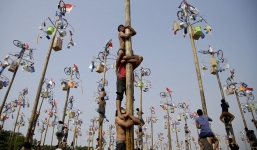 'Thánh' trèo cây và cái kết bất ngờ