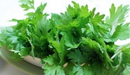 Công dụng bất ngờ của cây ngải cứu