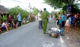 'Định tội' con ngựa bất kham gây tai nạn ở Tiền Giang