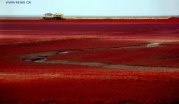 Du khách thích thú đến ngắm Bờ Biển Đỏ ở Trung Quốc