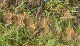 Bệnh viện chôn hơn 63 tấn rác thải y tế bị phạt 1,4 tỉ đồng