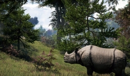 Hướng dẫn viên bị chính tê giác mình chăm sóc húc chết