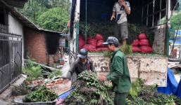 Loạt nông sản non thương lái Trung Quốc săn lùng