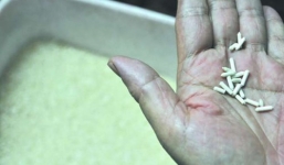 Phát hiện gạo giả Trung Quốc làm từ giấy hết sức tinh vi