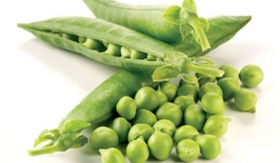 Tác dụng bất ngờ của đậu Hà Lan