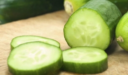 Ăn dưa chuột, gần 300 người bị nhiễm khuẩn salmonella 