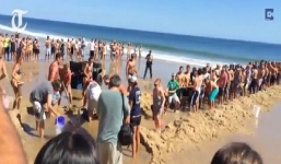 Video: Du khách buộc dây kéo cá mập trắng mắc kẹt về biển khơi