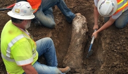 Phát hiện hóa thạch 200.000 năm tuổi tại California