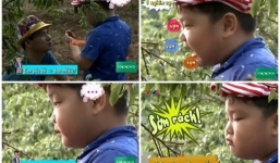 Những câu nói 'bá đạo' của con trai Xuân Bắc trong Bố ơi mình đi đâu thế