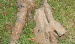 Phát hiện quả tên lửa còn ngòi nổ dưới lòng đất