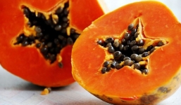 Đu đủ và những lợi ích tuyệt vời