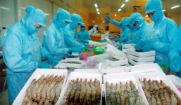 Thuế chống bán phá giá giảm, xuất khẩu tôm sang Mỹ sẽ khởi sắc
