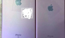 Hô biến iPhone 6 thành 6S chỉ với 2 triệu đồng