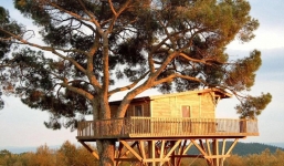 Những ngôi nhà trên cây đẹp 'không thể tin nổi'