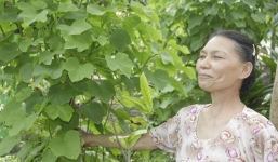 Sẽ xử lý “thần y” chữa bệnh ung thư bằng ăn cỏ dại 