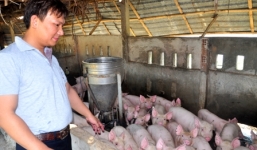 Bỏ việc, kỹ sư về quê chăn nuôi kiếm 'bộn tiền'