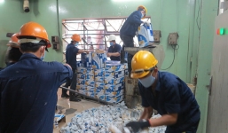 43.000 chai sữa Ensure trị giá hơn 1,2 tỉ đồng bị tiêu hủy