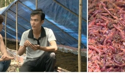 Từ thất nghiệp thành ông chủ làm ăn thành công