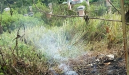 Đà Lạt: Phát hiện thi thể cháy đen bên bụi hoa dã quỳ