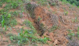 Phẫn nộ bố sát hại con trai 5 tuổi rồi chôn xác phi tang