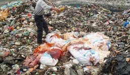 Phát hiện và tiêu hủy hơn nửa tấn nội tạng động vật hôi thối