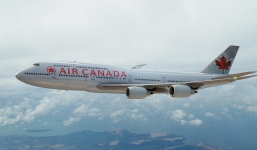 Cơ trưởng hạ cánh khẩn cấp để cứu mạng chú chó