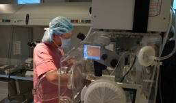 Thông tin về trường hợp mang thai hộ thành công đầu tiên ở BV Từ Dũ