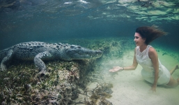 Khoảnh khắc đối mặt với 'sát thủ đầm lầy' dài 4m của nữ thợ lặn