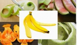 Vỏ trái cây và những tác dụng bất ngờ với sức khỏe